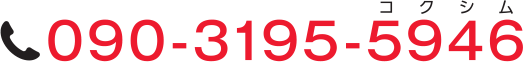 090-3195-5946